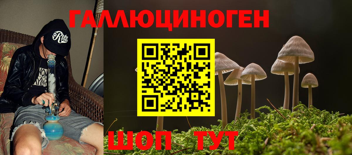 Тула  Псилоцибиновые грибы GOLDEN TEACHER  Псилоцибиновые грибы Psilocybe  Вход с VPN 