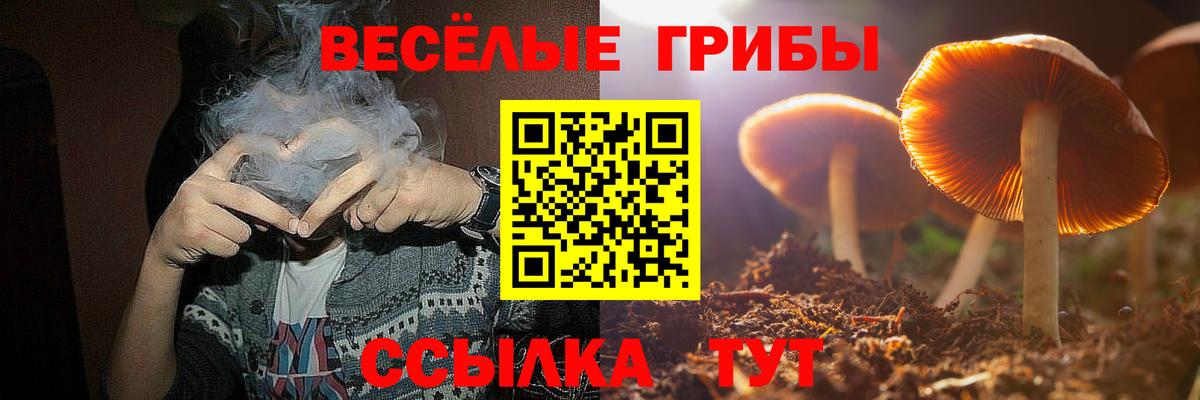 Псилоцибиновые грибы мухоморы Тула
